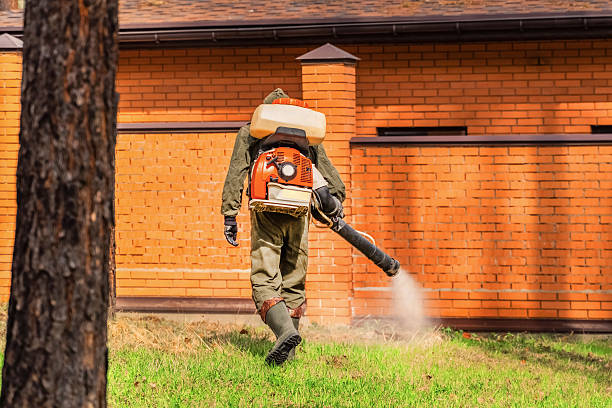 Trusted Termite Control service in Jersey Shore, PA - Nex Pest Control